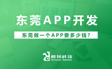 東莞APP軟件開發(fā)費(fèi)用解析 從需求到落地的預(yù)算構(gòu)成