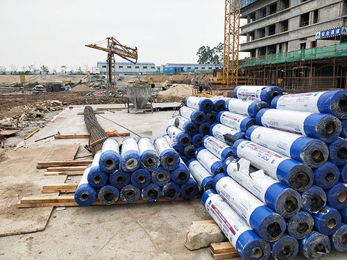 防水卷材十大品牌概覽 建筑防水卷材產(chǎn)品選購(gòu)指南